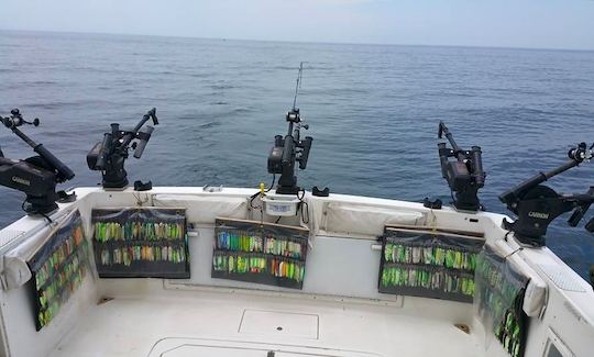 Carta de pesca de salmón en el lago Ontario de 28 pies de Baha Cruiser