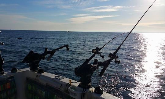 Carta de pesca de salmón en el lago Ontario de 28 pies de Baha Cruiser