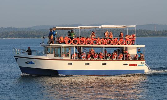 Passeios de observação de baleias no trimarã 'Speed Liner' em Mirissa