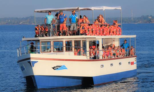 Passeios de observação de baleias no trimarã 'Speed Liner' em Mirissa