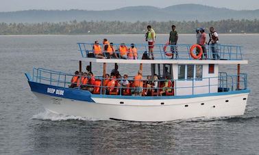 'Deep Blue' Boat Whale Watching Trips in Mirissa