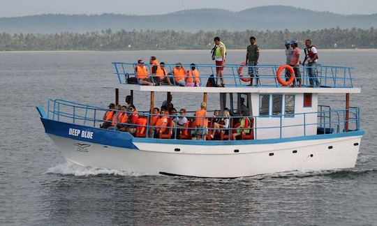 Passeios de observação de baleias em barco 'Deep Blue' em Mirissa