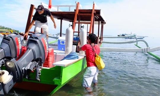 インドネシアでのカエルとのシュノーケリング旅行