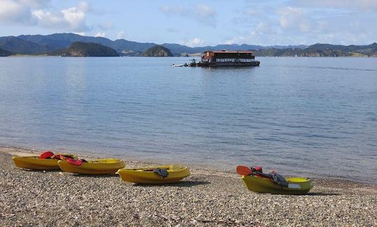 Houseboat Cruises in Paihia, NZ