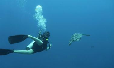 Viajes de buceo a los mejores sitios de buceo en Nusa Tenggara Occidental, Indonesia