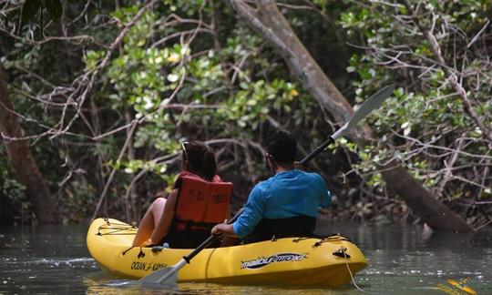 Disfrute de nuestra mundialmente famosa excursión de un día