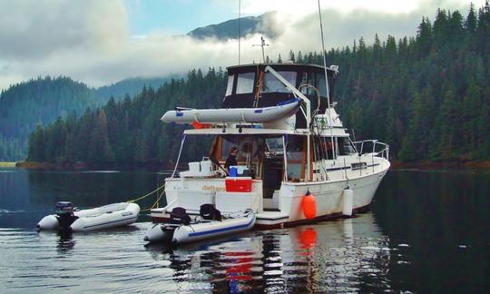 Louez un yacht à moteur Bayliner Explorer « Saltery C » de 40 pieds à Ketchikan, en Alaska