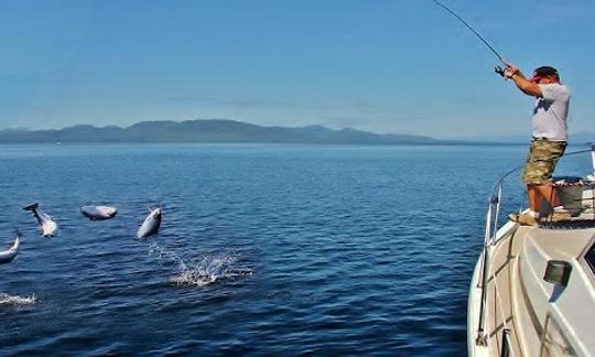 Louez un yacht à moteur Bayliner Explorer « Saltery C » de 40 pieds à Ketchikan, en Alaska