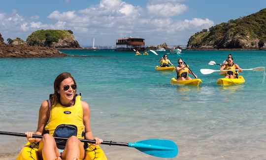 Houseboat Cruises in Paihia, NZ