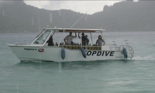 Barco de buceo en Bora Bora, Vaitape