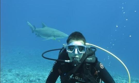 Barco de buceo en Bora Bora, Vaitape