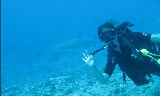 Barco de buceo en Bora Bora, Vaitape