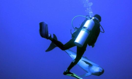 Dive Boat In Rangiroa