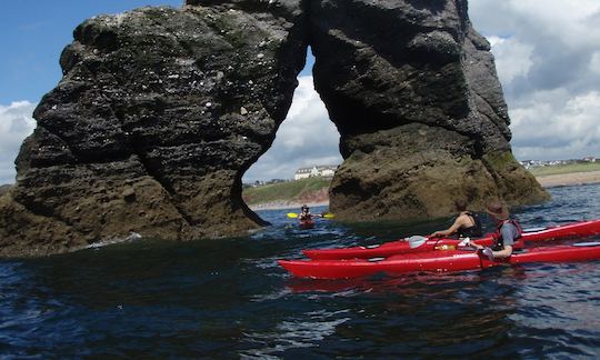 River & Sea Kayaking Trips in Dartington Hall