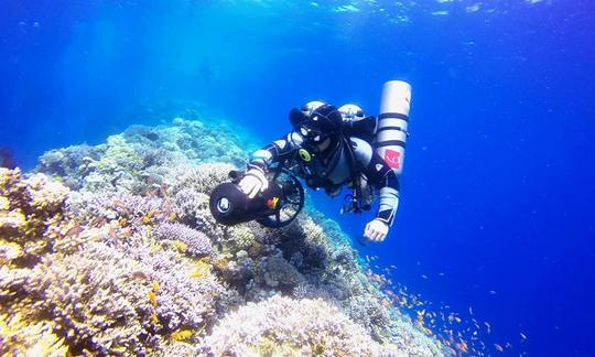 Excursions et cours de plongée sous-marine disponibles à Dahab, en Égypte