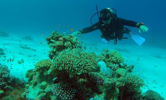 Excursions et cours de plongée sous-marine disponibles à Dahab, en Égypte