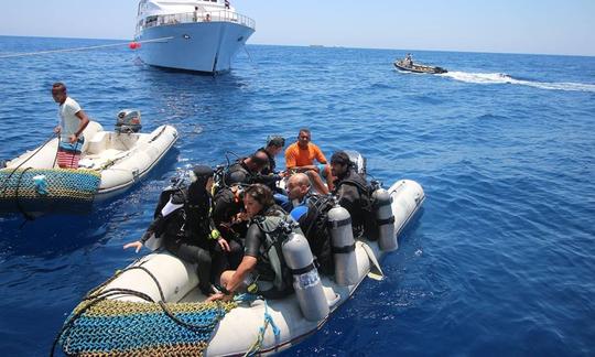 Excursions et cours de plongée sous-marine disponibles à Dahab, en Égypte