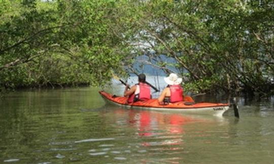 Aluguel de caiaque de meio dia em Paraty, Brasil