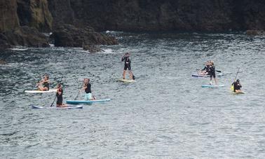 SUP Tour On Goad Island