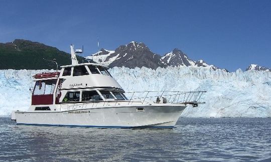 Location de yacht à moteur de 48 pieds à Halibut Cove, Alaska