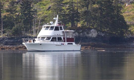 Location de yacht à moteur de 48 pieds à Halibut Cove, Alaska