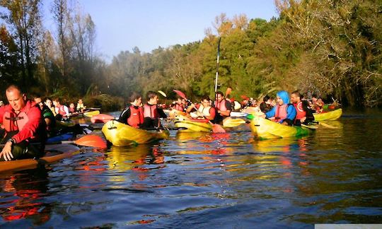 Location de kayaks et excursions à Tomar, Portugal