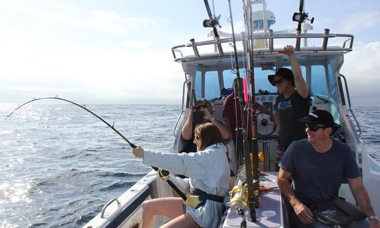 Disfruta del barco «Destiny» de 27 pies con cabeza en Ciudad del Cabo, Sudáfrica