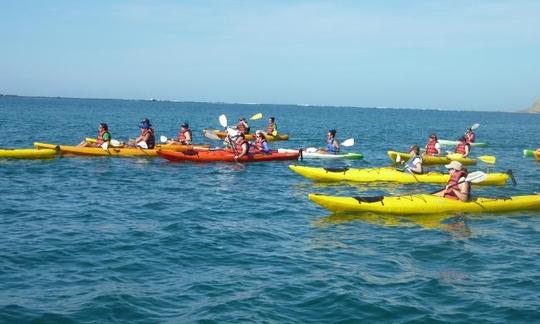 Double Kayak Rental & Tours in Sámara Beach