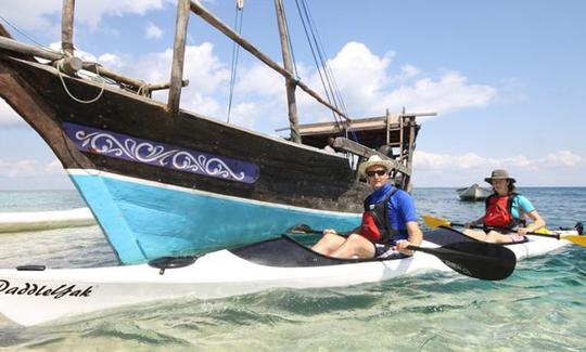 Boat Island Safari and Diving Trips in Mozambique