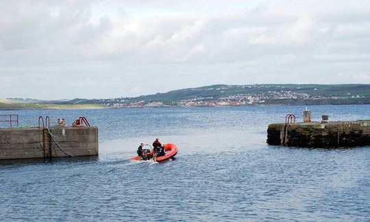 Sea Wolf Dive Boat In Ireland