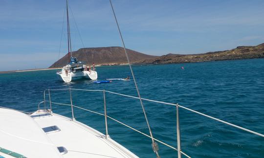 Catamaran sailing with whale watching