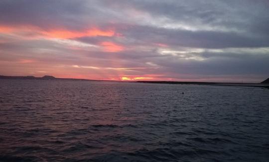 Catamaran sailing with whale watching