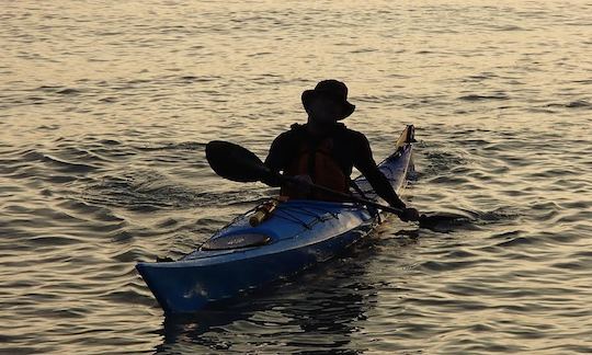 Single Kayak Rental In Singapore