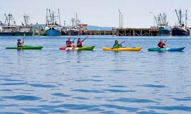 Location de kayak Riot Single à Digby