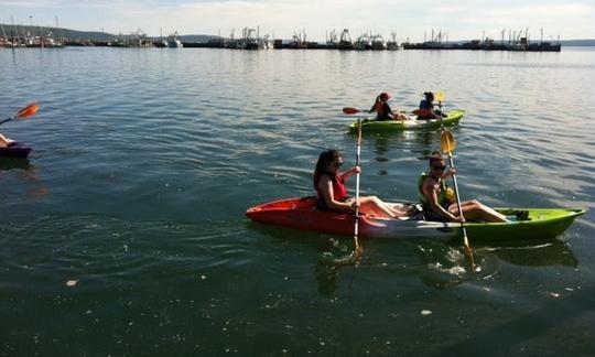 Alquiler de kayak doble FeelFree en Digby