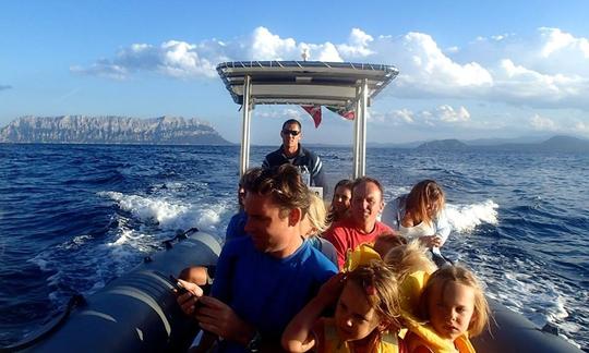 Plongée à Golfo Aranci, Italie