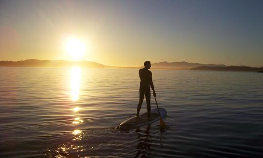 Locations et excursions de paddleboard à Tofino