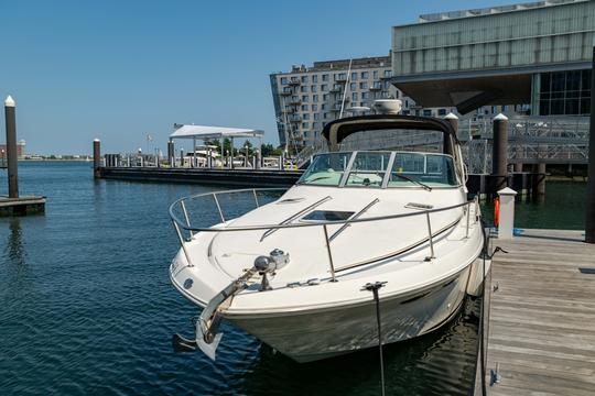 Sea Ray 310 (33 pés) - Porto de Boston e ilhas vizinhas