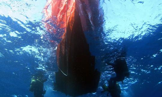 Viajes de buceo en Chloraka, Chipre