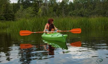 Kayak Rental On Morell River