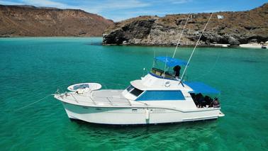 Custom 45ft Motor Yacht for Cruising in Baja California Sur