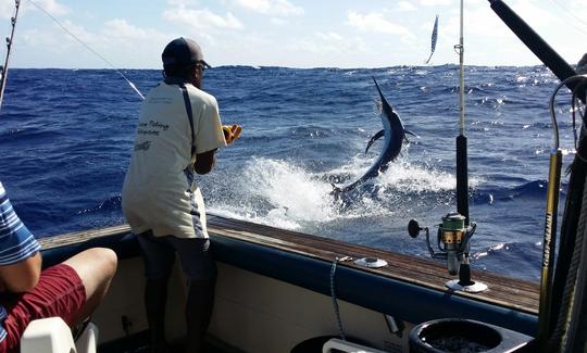 Black Marlin