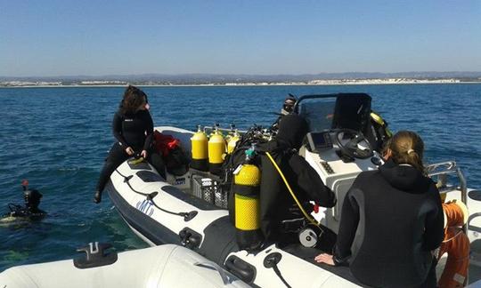 Découvrez la plongée sous-marine à Tavira