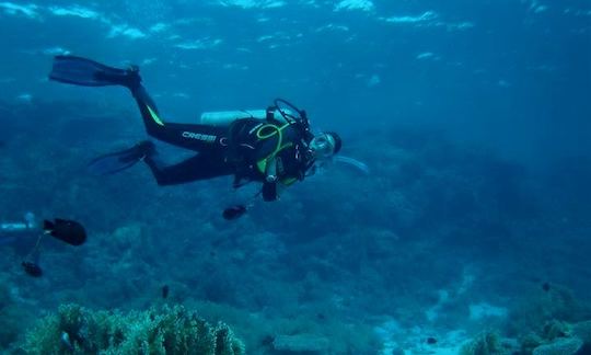 Diving in San José, Spain