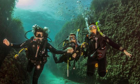 Diving in San José, Spain