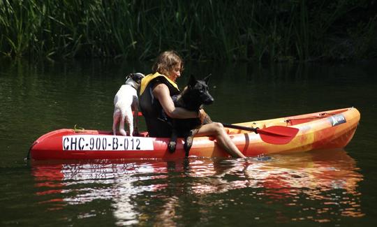 Excursiones de descenso en kayak en Arriondas