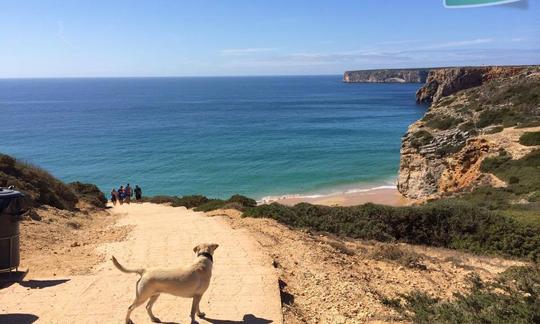 Tour guiado de SUP em Portugal