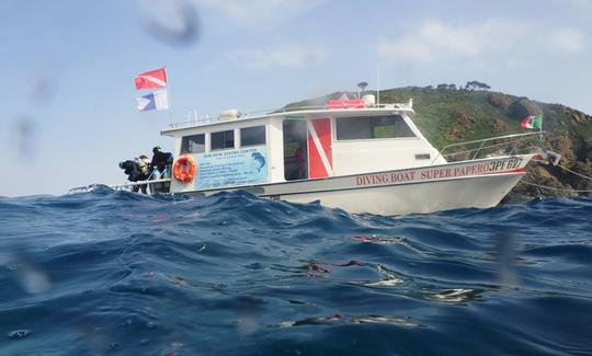 Descubre el buceo en Campo nell'Elba