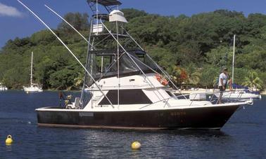 Fun Sportfishing Trips on our Boat 'Nevagivup' From Port Vila