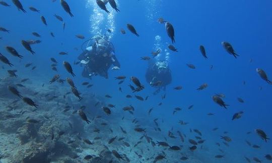 Private Scuba Diving In Kos island (max. 5 divers)